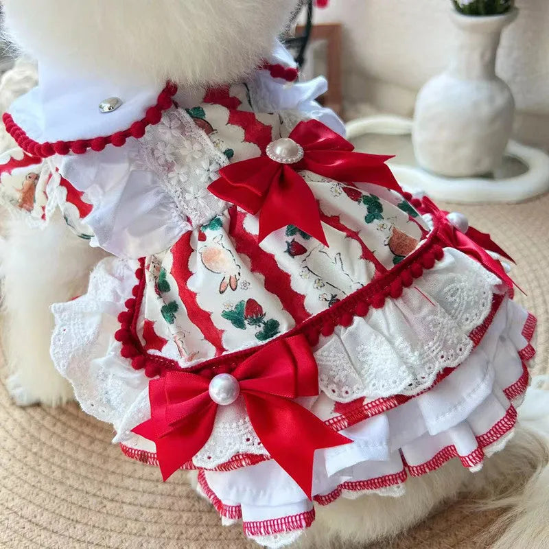 Rabbit skirt pattern princess style dog dress on a small dog, showing the fit and design.