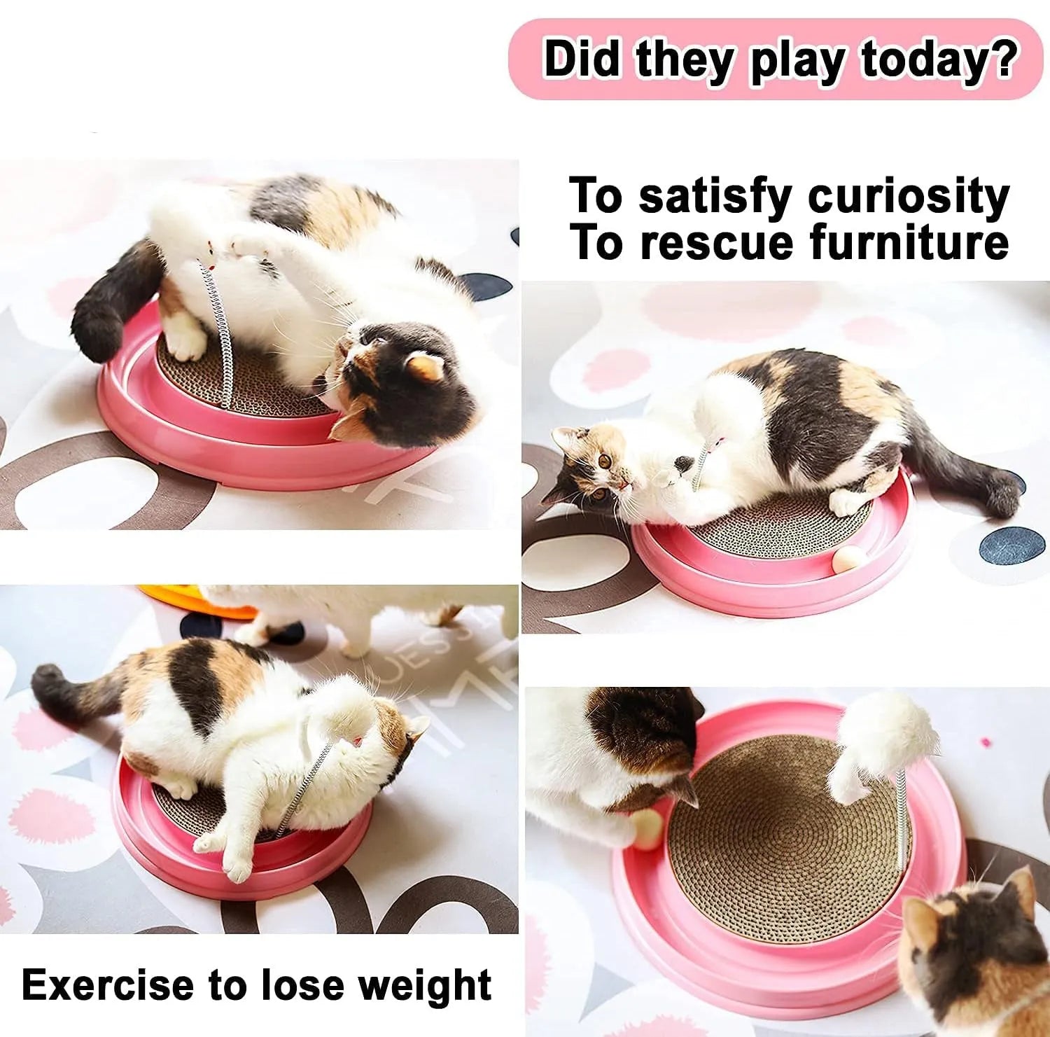 Blue interactive cat scratcher toy with ball track and replaceable scratch pad, 40cm diameter