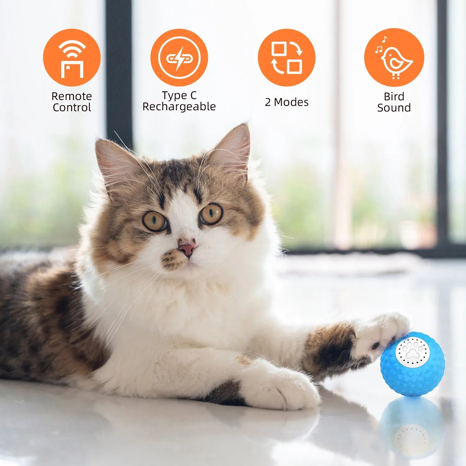 Remote control and a blue smart cat ball toy on a wooden floor.