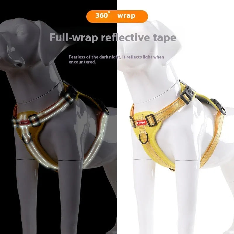 Adjustable polyester dog chest harness and lead in assorted colours on a white background