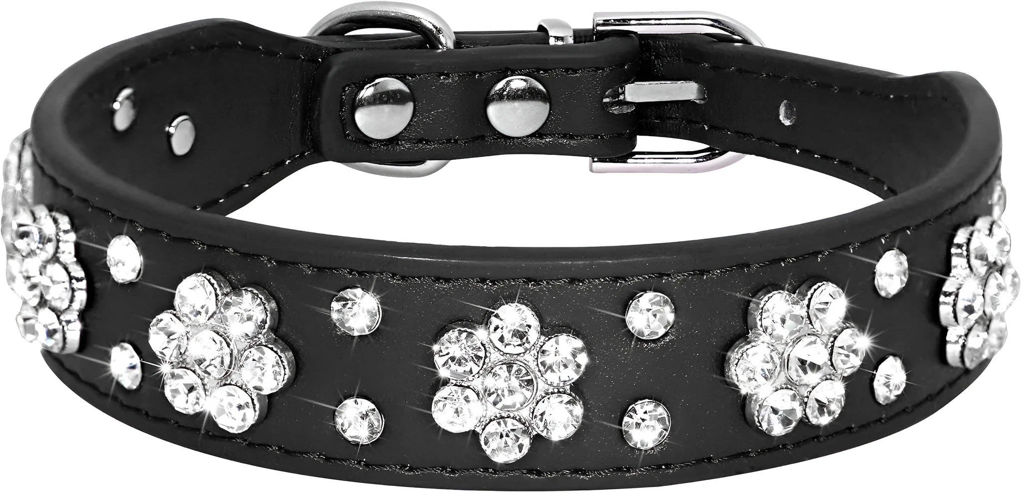 PU leather dog collar with rhinestone flower pattern and metal studs on a small dog