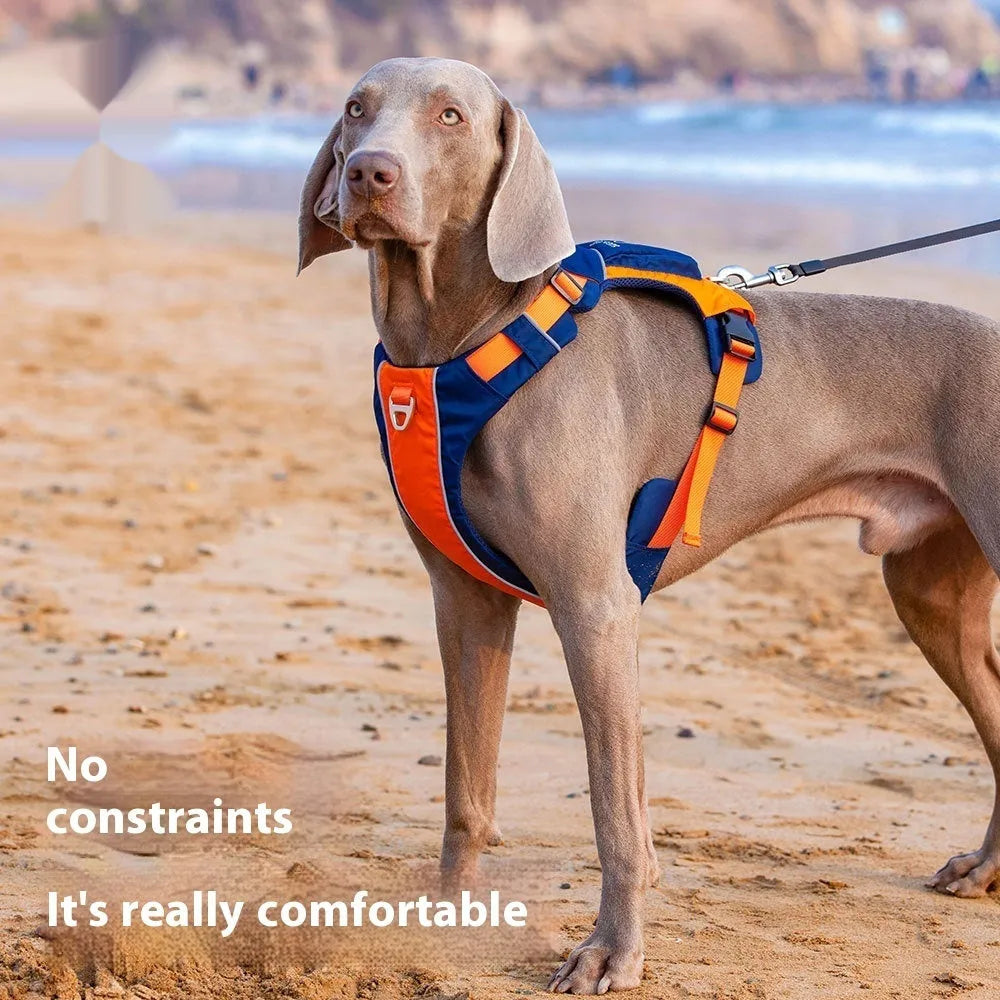 Nylon dog chest strap vest harness with single chest back design in orange blue colour