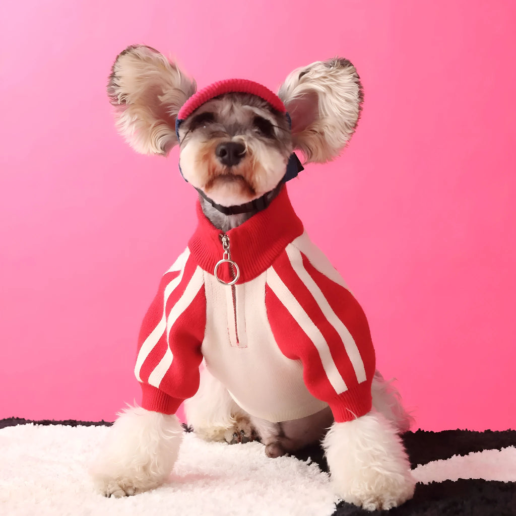 Red wool dog sweater cardigan on a mannequin, showing casual sports style and knit texture.