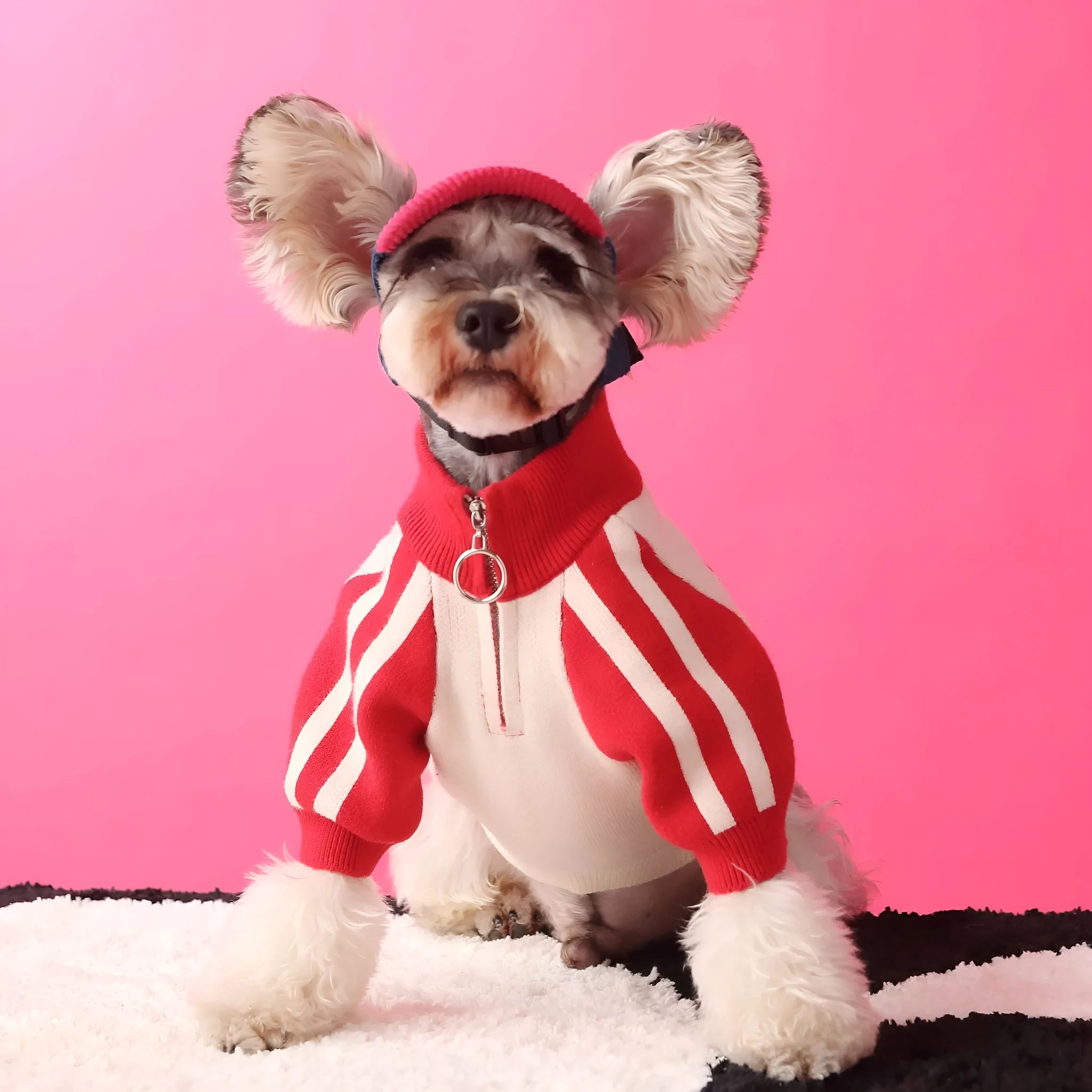 Red wool dog sweater cardigan on a mannequin, showing casual sports style and knit texture.