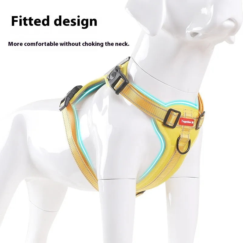 Adjustable polyester dog chest harness and lead in assorted colours on a white background