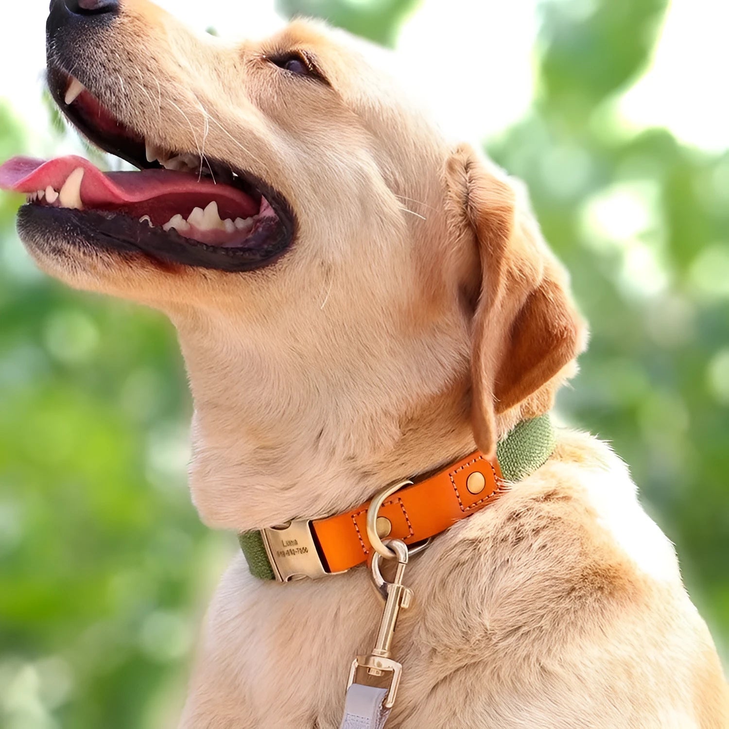 Small dog mohair wool collar and lead set in green with white lettering on the collar