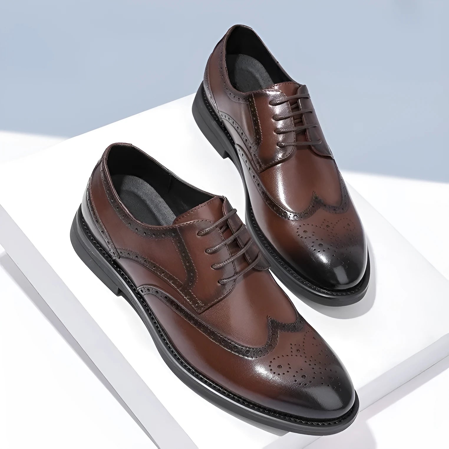 Men's black and brown brogue shoes with wingtip design and perforated detailing for business wear