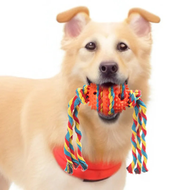 Molar teeth cleaning dog rope bite ball plastic pet toy in blue