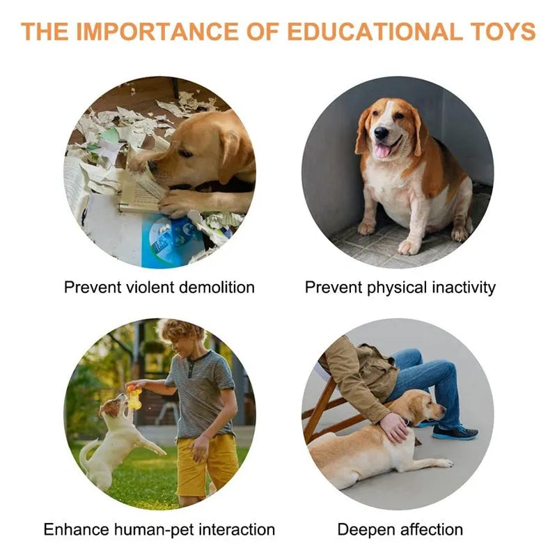 Pet communication button in orange, blue, grey and yellow with mats, 8.5cm ABS plastic recordable dog talking toy