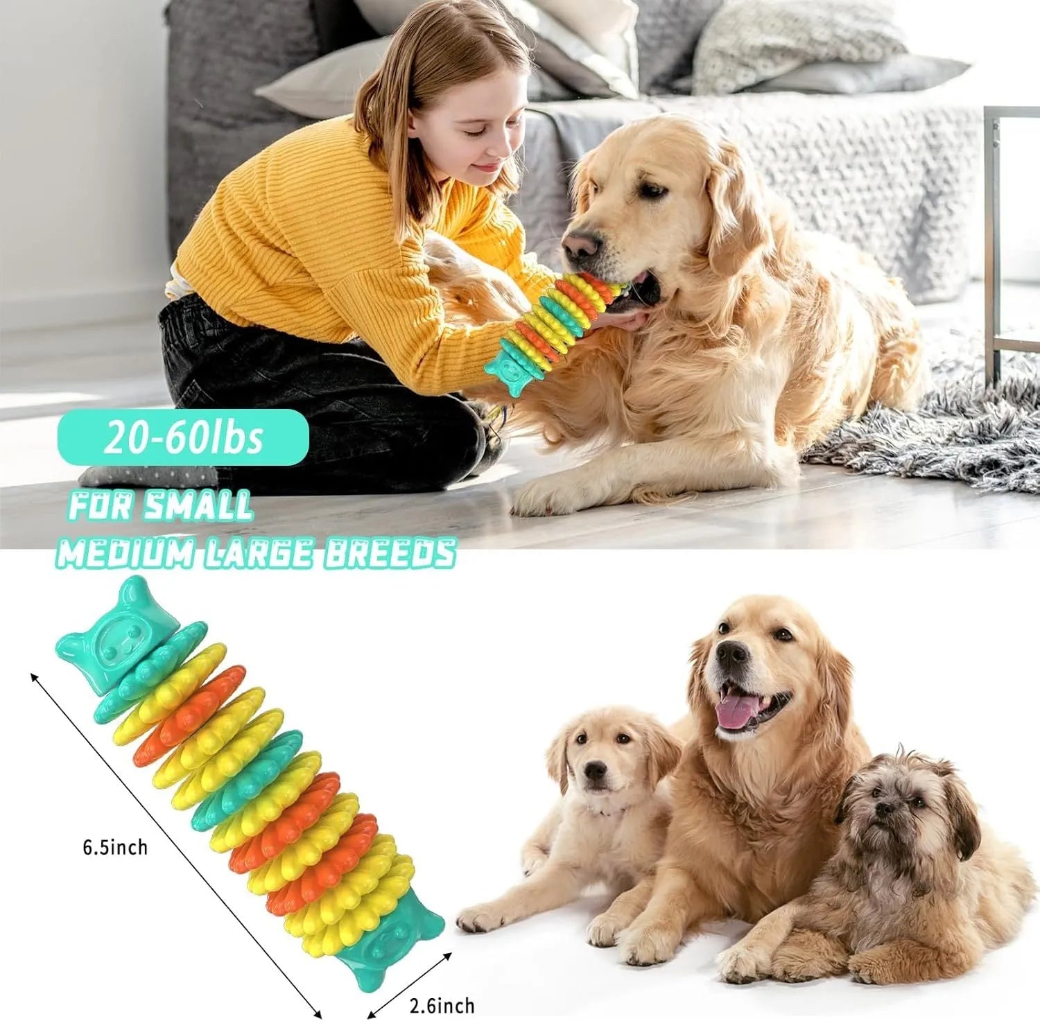 Blue green and pink natural rubber caterpillar-shaped dog chew toy on a white background