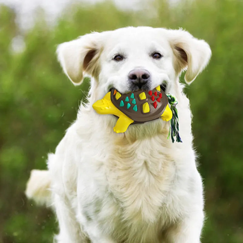 Natural rubber dog toothbrush chew toy with mint flavour and knotted tug-of-war tail