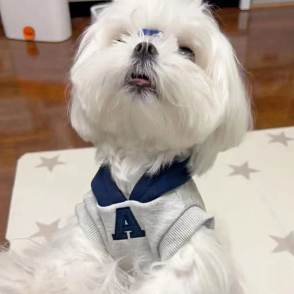 Blue and grey white polyester pet hoodie sweater with reflective lettering for dogs and cats