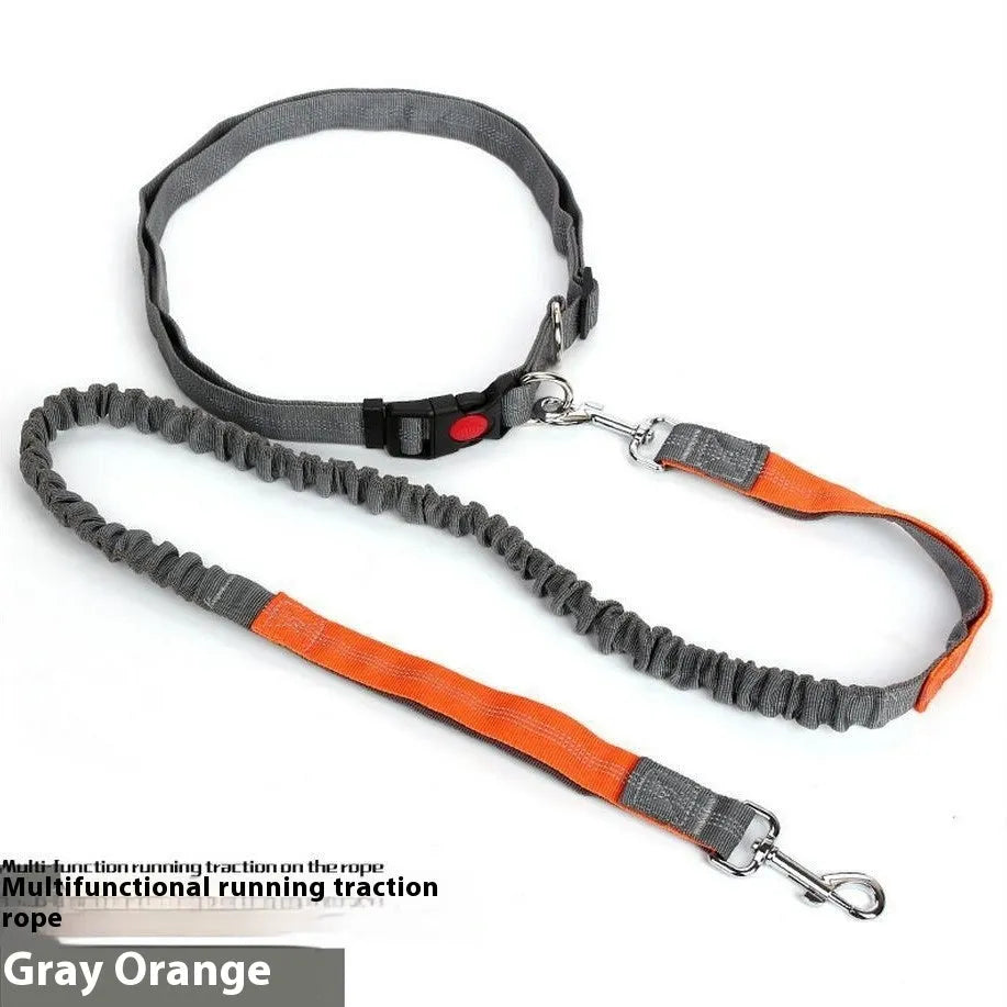 Night reflective nylon dog leash with elastic sling in blue and red colour combination