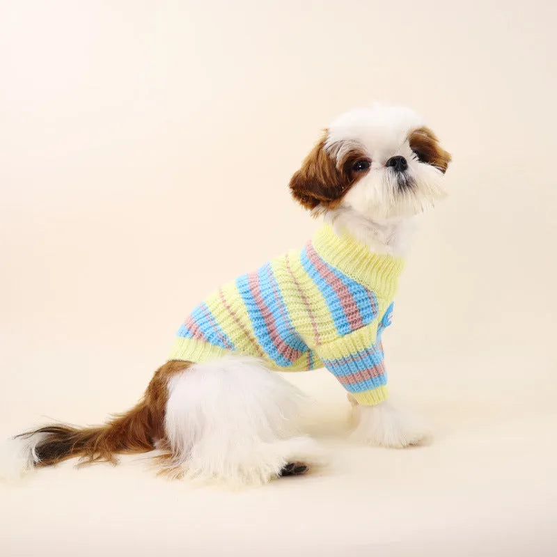 Blue and yellow stripe wool sweater for small dog breeds on white background