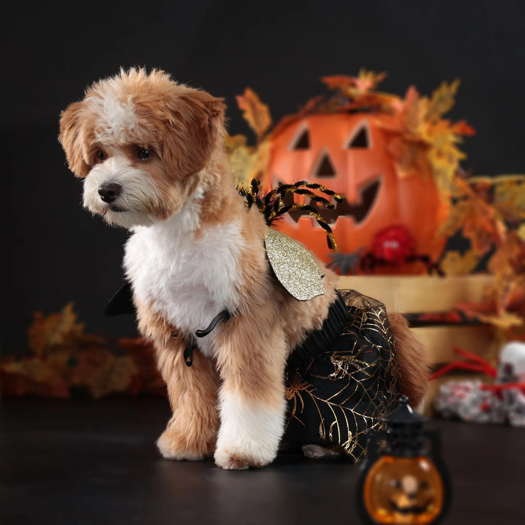 Polyester halloween party dog suit costume in suit colour design shown in multiple sizes