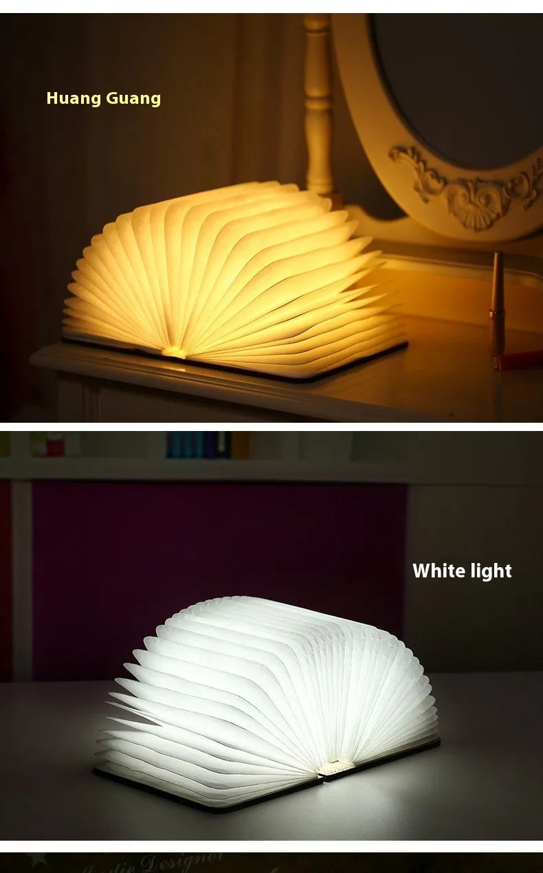 LED wooden boy lamp battery night light maple white colour modern simple design