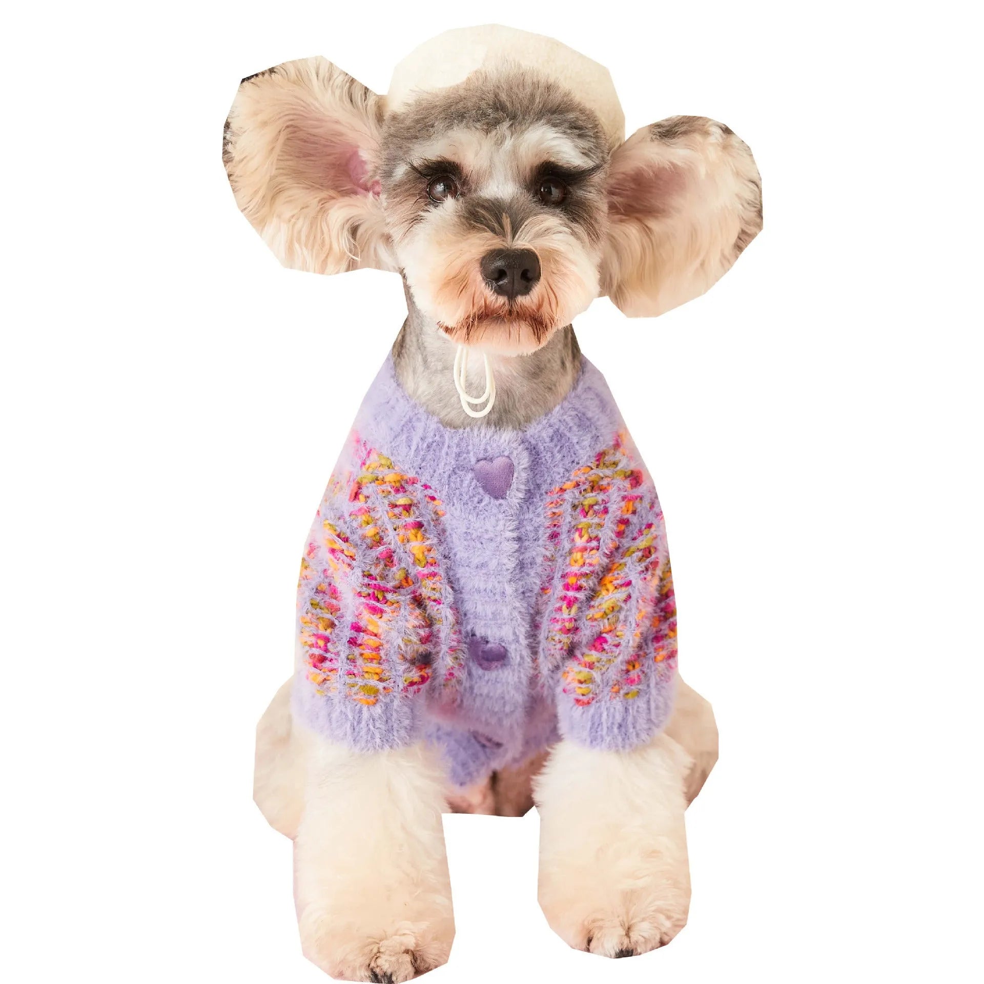 Purple wool pet cardigan sweater for female dogs, autumn winter design, XS-2XL sizing