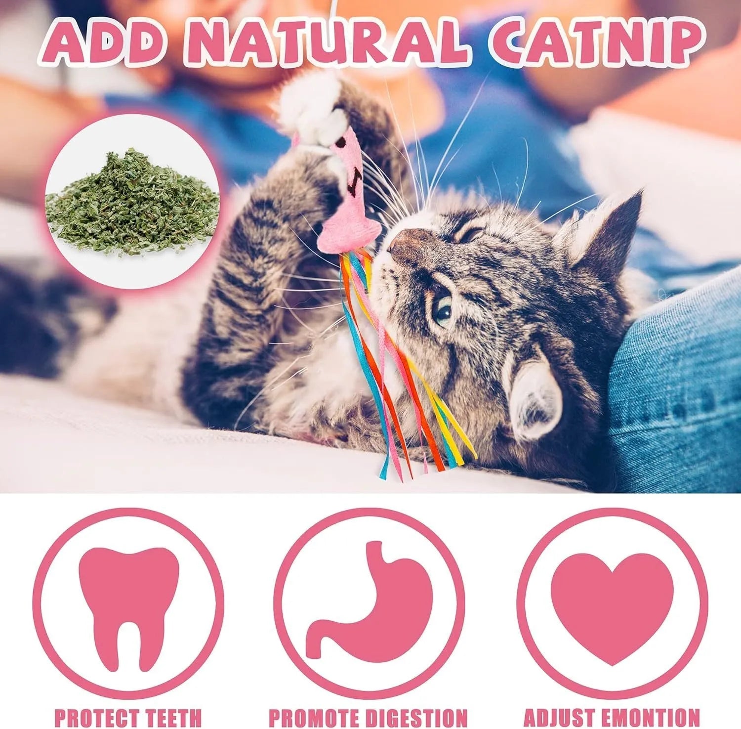Cat wand toy with wooden handle, colourful ribbons, catnip fish, and bell attachment