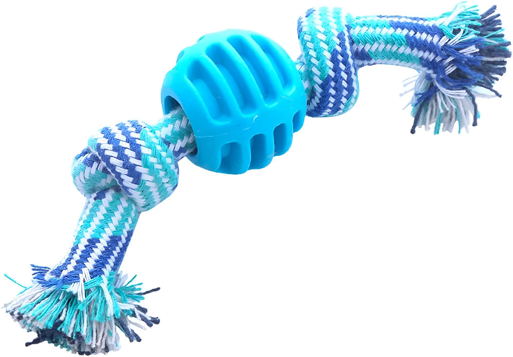 Blue molar-shaped dog chew toy with rope strands for dental cleaning