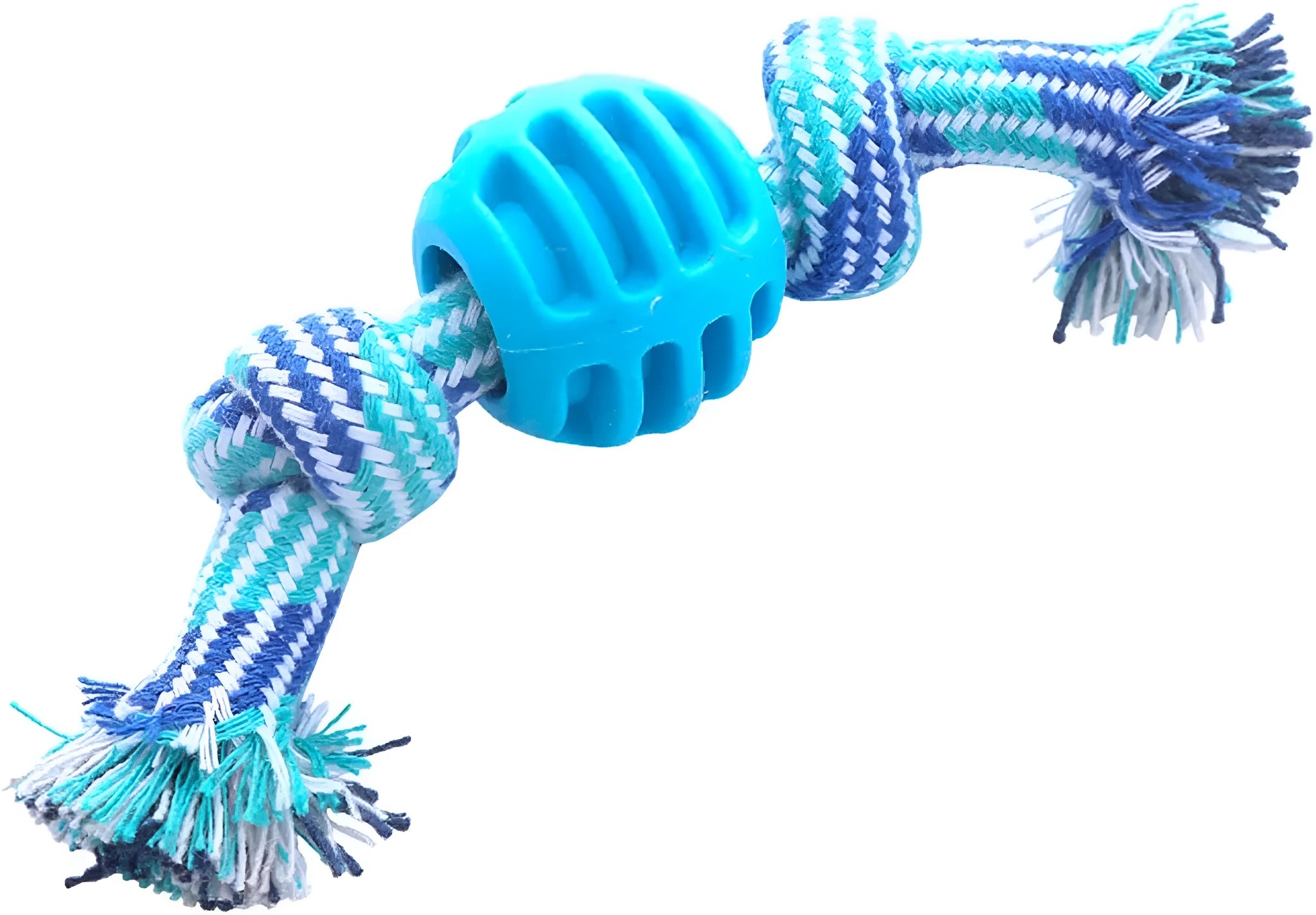 Blue molar-shaped dog chew toy with rope strands for dental cleaning