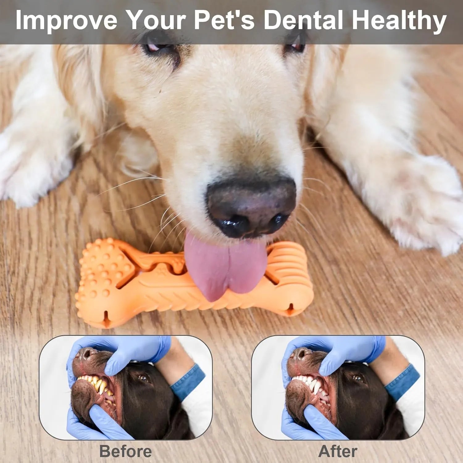 Blue, green, and orange natural rubber bone-shaped dog chew toy for aggressive chewers.
