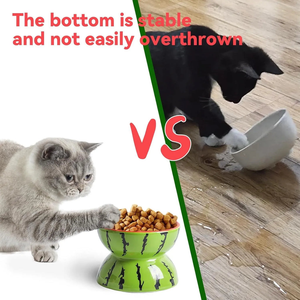 Ceramic raised cat food bowl with tilted design in a colourful pattern, showing slip-resistant base.
