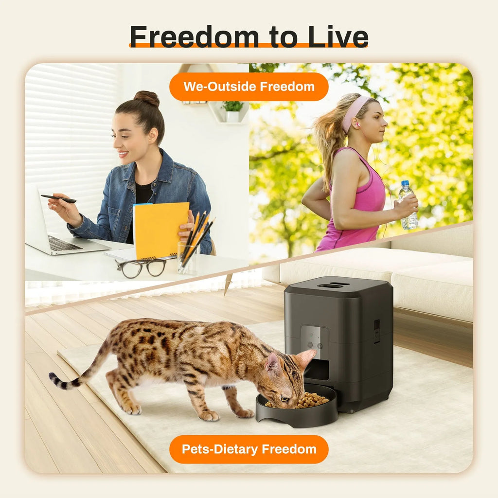 Pet automatic feeder for cats with remote control options and multiple international power supply standards