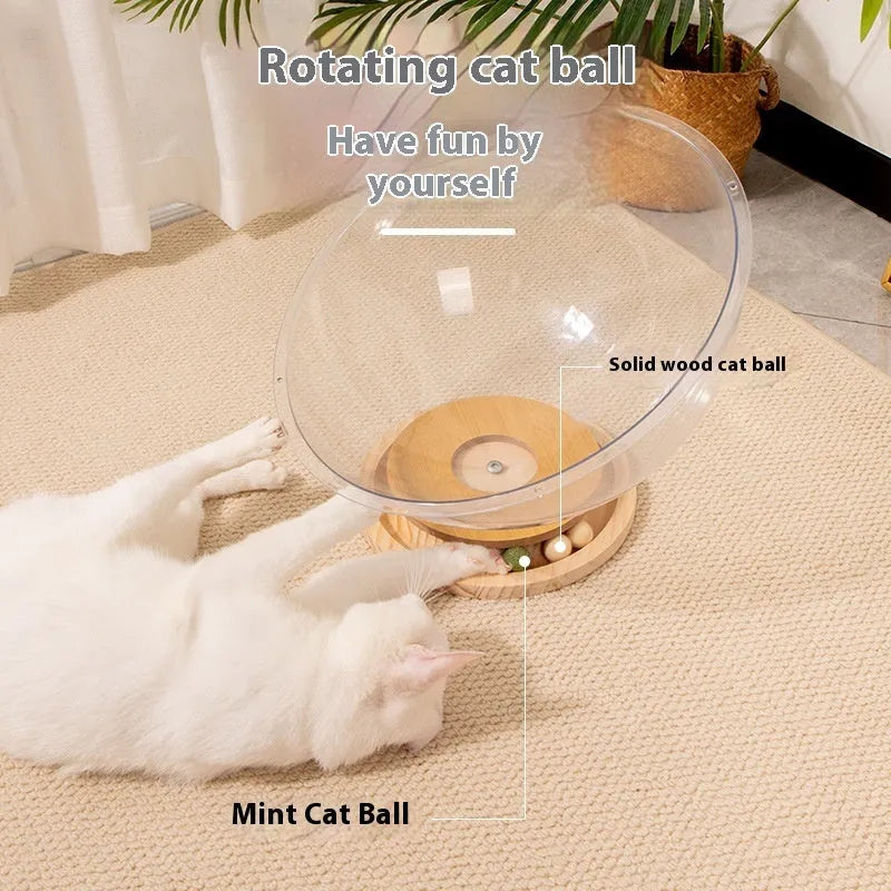 Transparent acrylic cat space capsule bed with turntable base shown in multiple size options