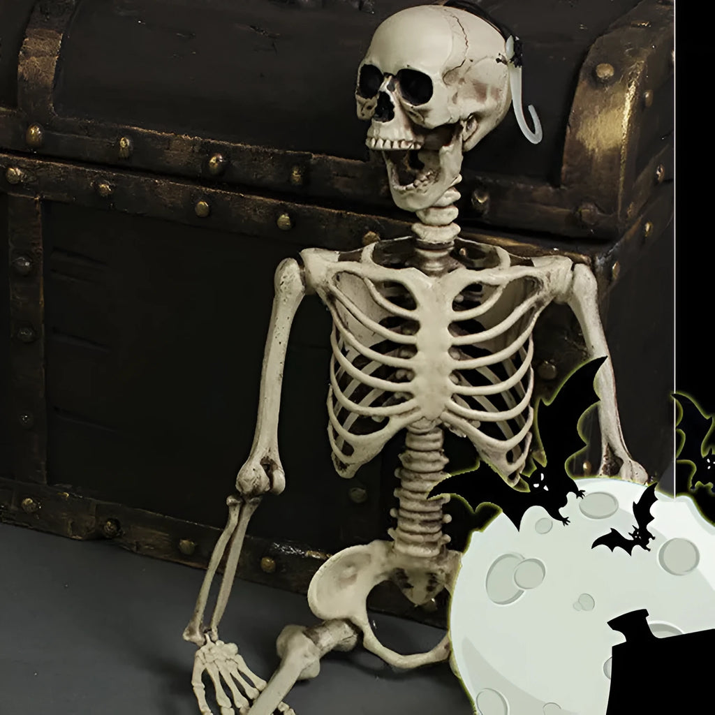 170cm plastic skeleton prop with detailed skull for anatomical displays and Halloween decoration