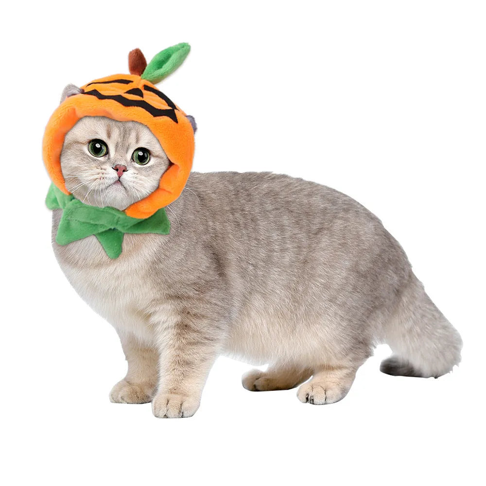 Halloween pumpkin pattern double-sided dog cloak cat costume in plush material