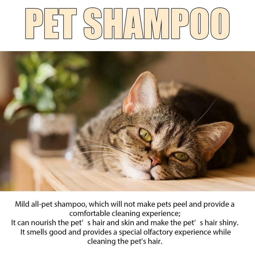 Bottle of mild pet shampoo for dogs, options for 100ml and 300ml sizes.
