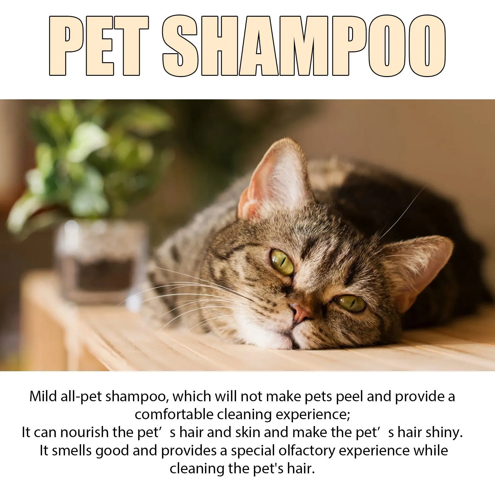 Bottle of mild pet shampoo for dogs, options for 100ml and 300ml sizes.