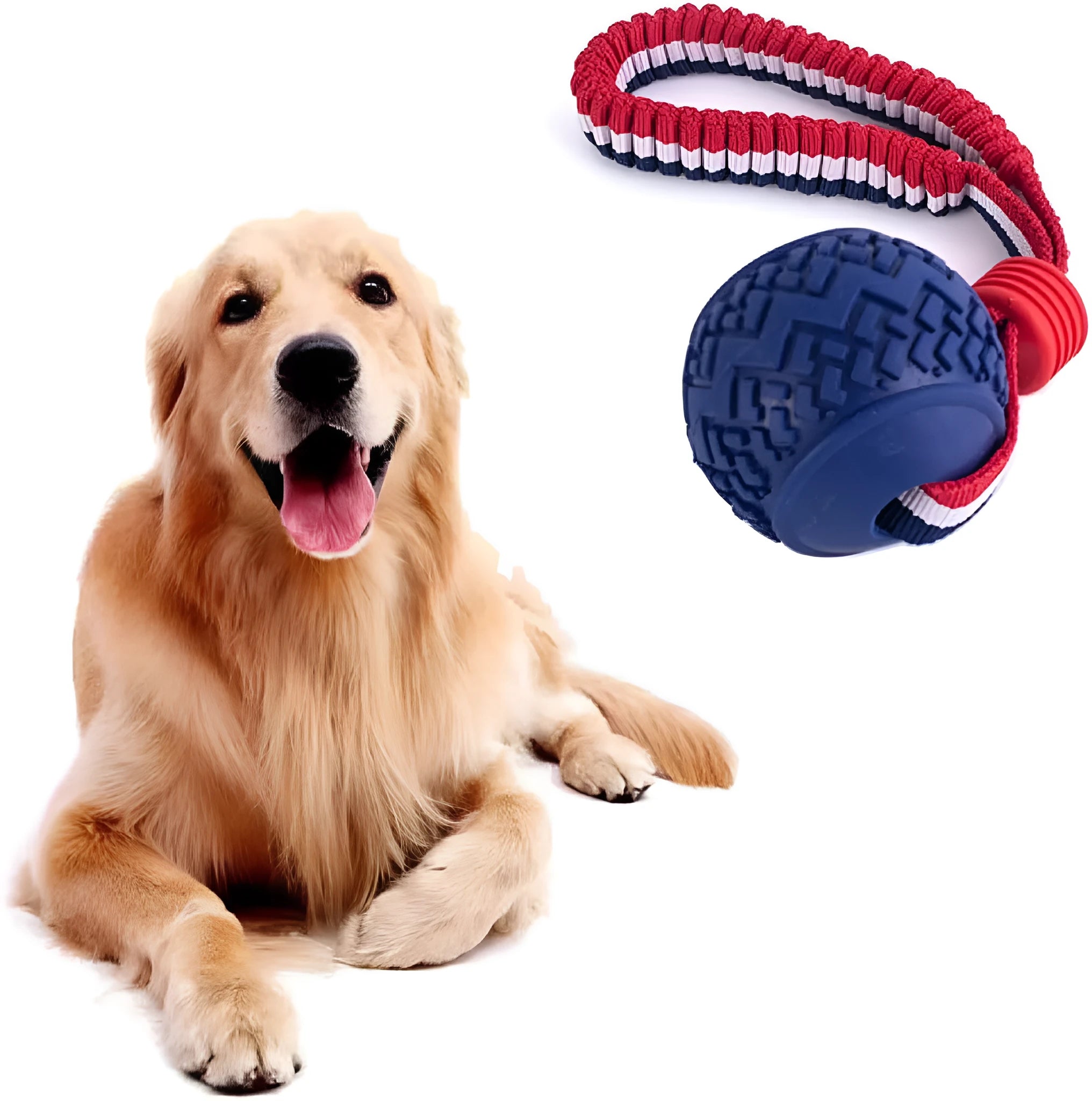 Blue natural rubber dog ball with rope attached measuring 6.5cm diameter