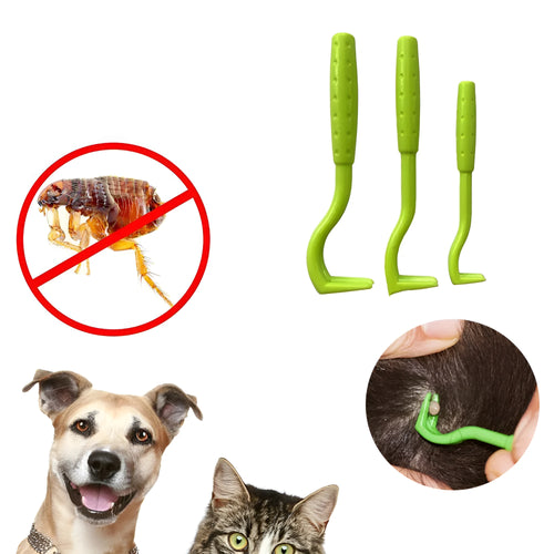 Three plastic tick removal tools with hook design for pets, shown in blue and green colours
