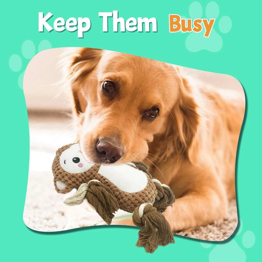 Plush squeaky dog toy assortment showing Lion and Monkey designs with stuffing-free construction