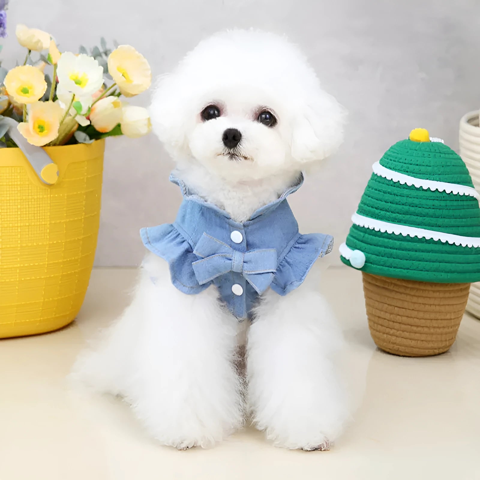 Blue denim pet dress with ruffles vest styling and back leash hook for dogs and cats