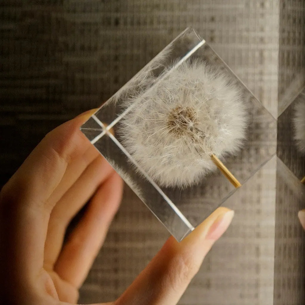 5cm clear resin cube with preserved dandelion inside, wooden box, and USB charging base