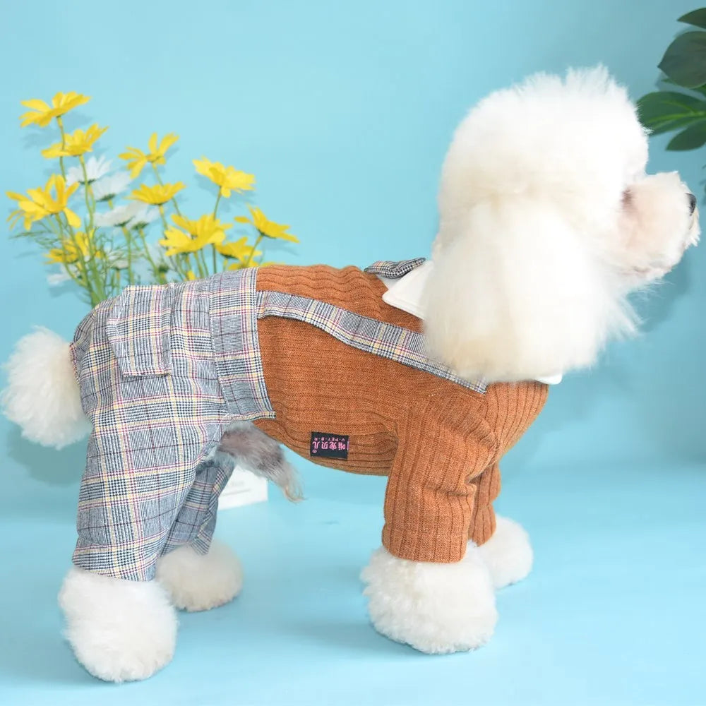 Small breed dog wearing orange cotton shirt with simple collar design