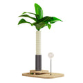 Wooden vertical cat scratching post with canna-coloured centre column and a built-in food drop ball.