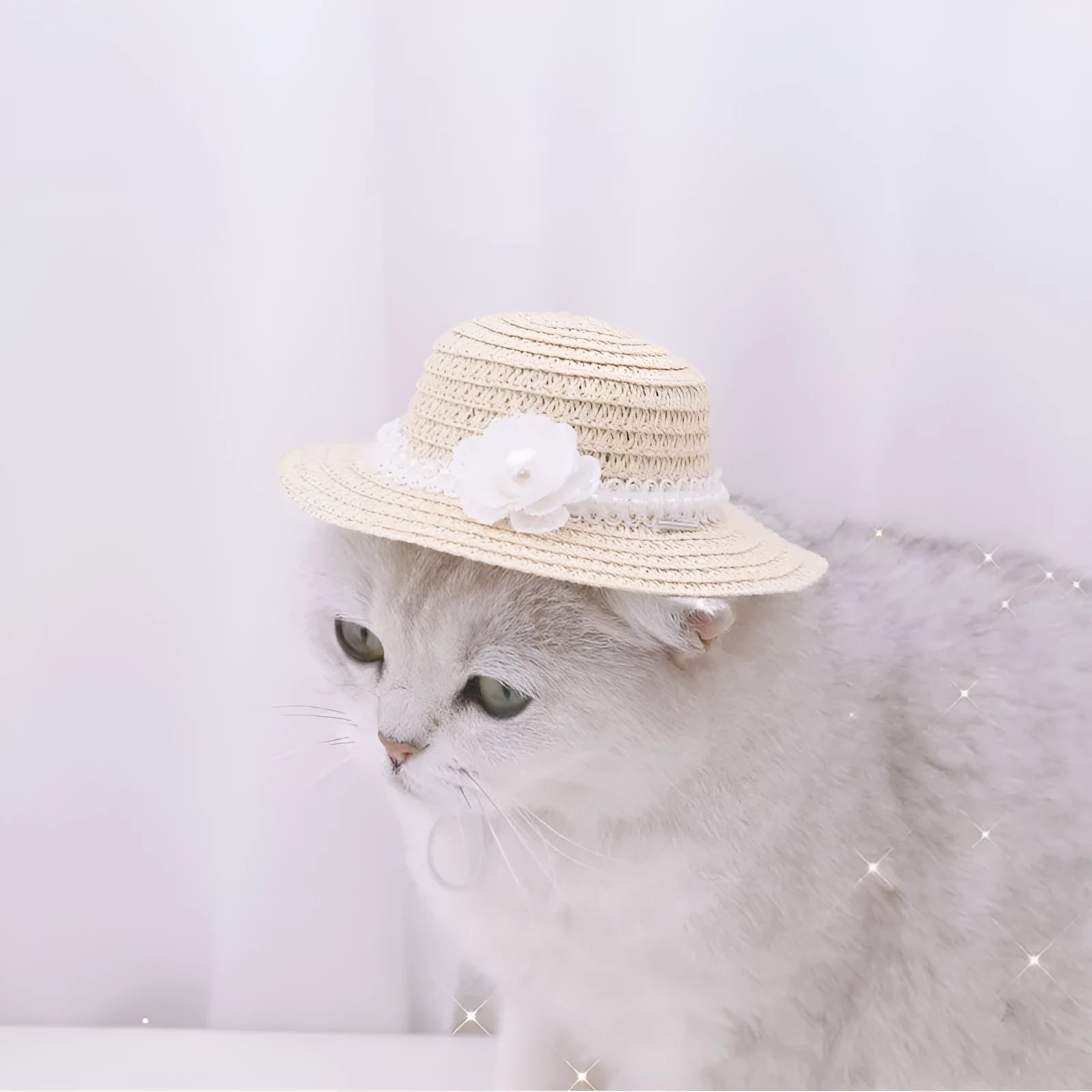 Handmade adjustable bowknot pet hat for dogs and cats in five colour options