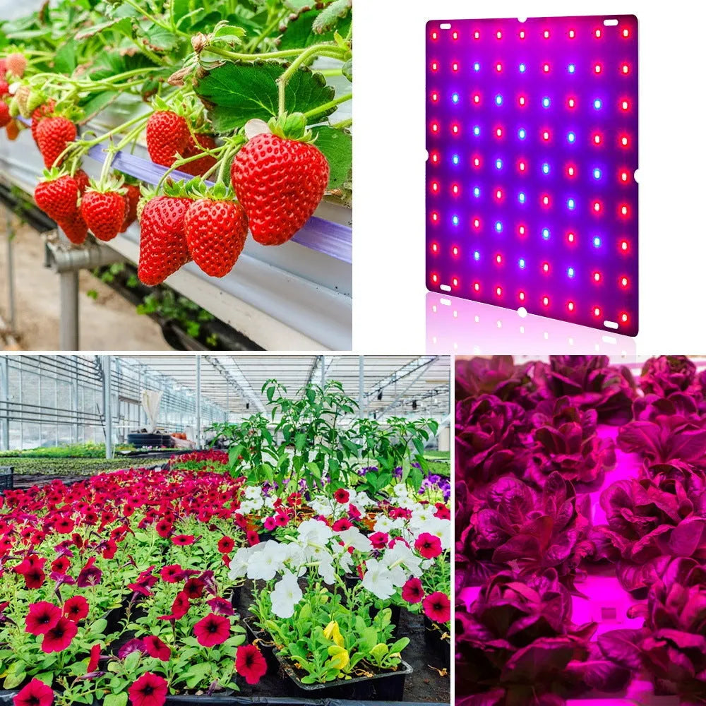 D section aluminium plant growing light with hook for indoor fruits and vegetables
