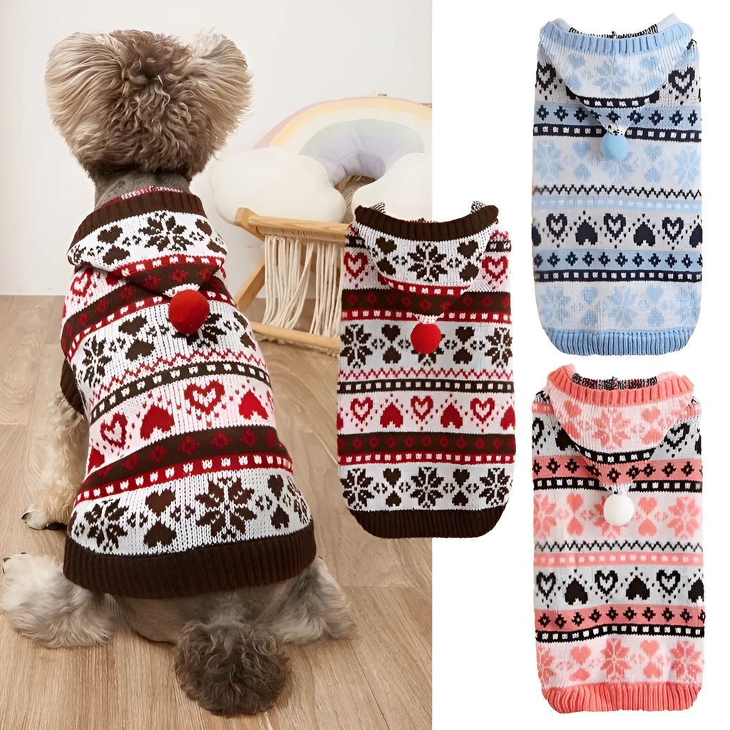 Striped camouflage dog sweater on small Bichon breed in pink colour