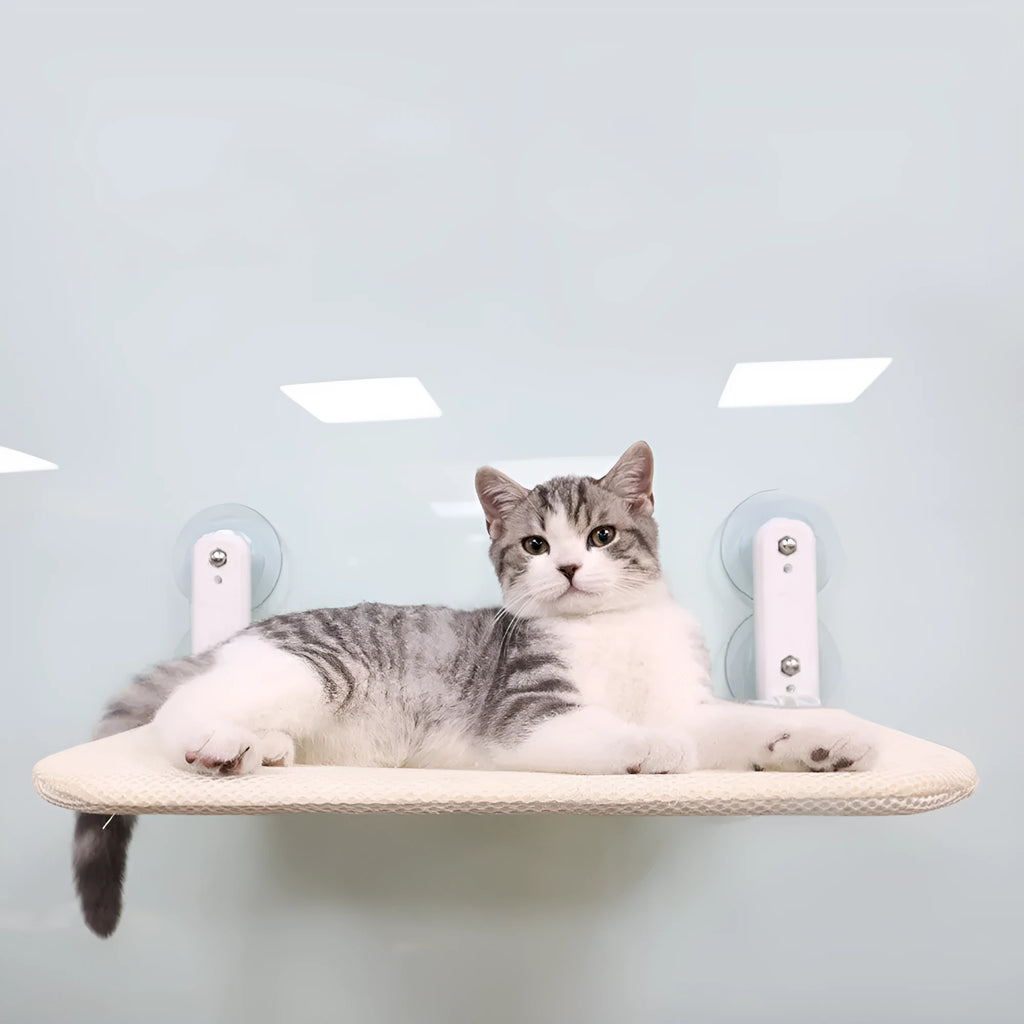 Foldable cat window hammock with stainless steel frame and suction cups, shown in grey plush upholstery.