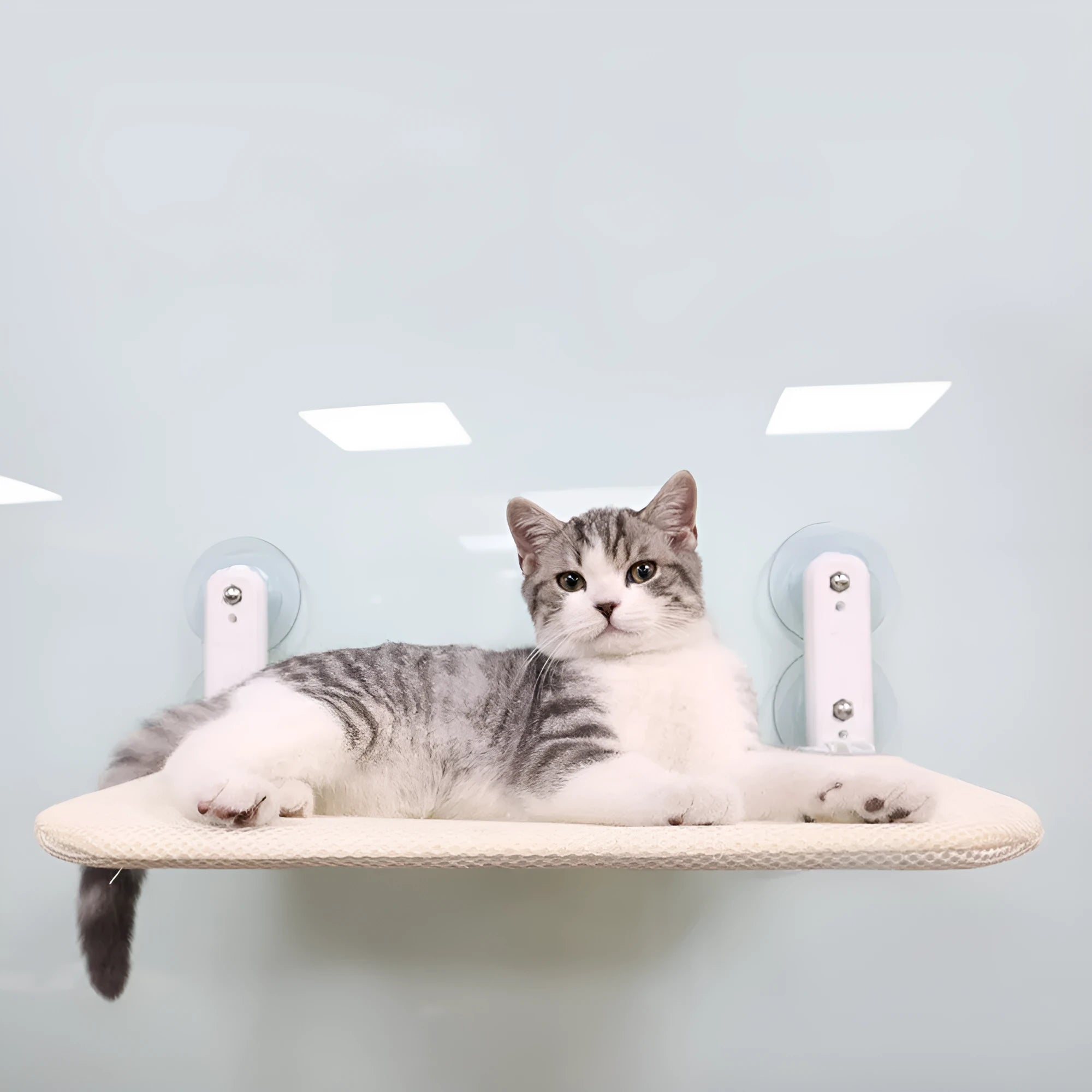 Foldable cat window hammock with stainless steel frame and suction cups, shown in grey plush upholstery.