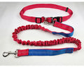Night reflective nylon dog leash with elastic sling in blue and red colour combination