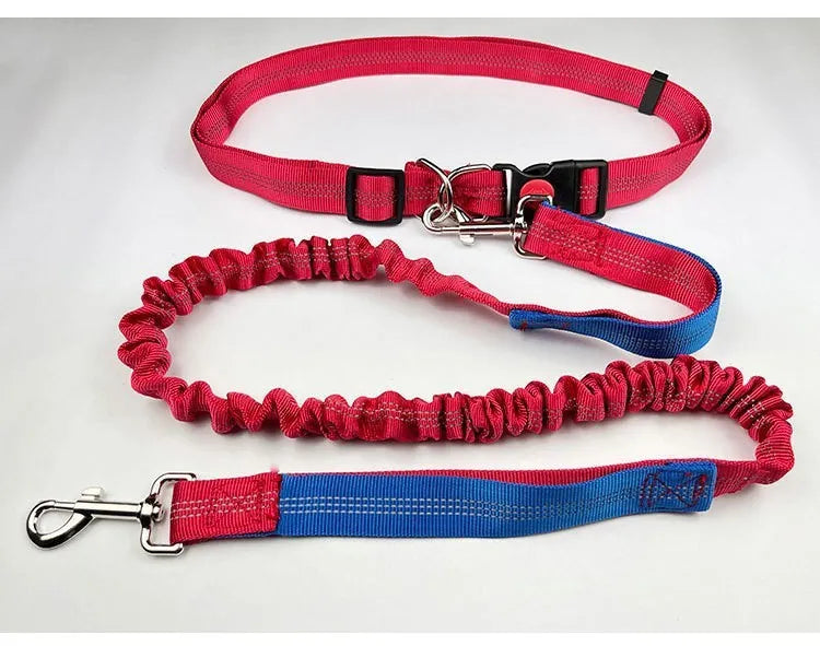 Night reflective nylon dog leash with elastic sling in blue and red colour combination