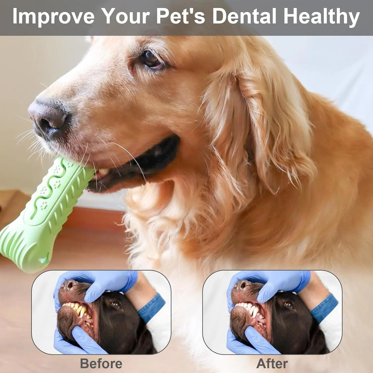 Blue, green, and orange natural rubber bone-shaped dog chew toy for aggressive chewers.