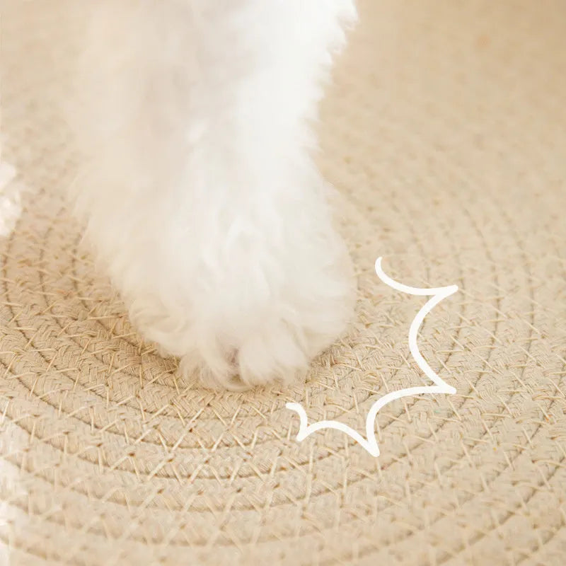 Green oval sisal cat scratch pad showing scratching surface and bowl-shaped lounging area