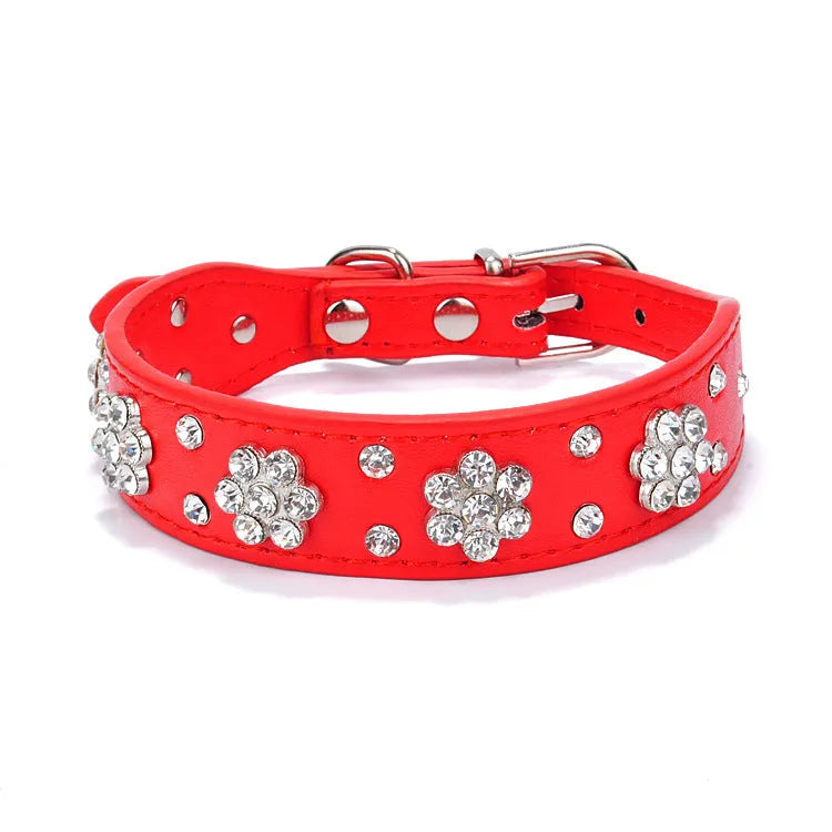 PU leather dog collar with rhinestone flower pattern and metal studs on a small dog