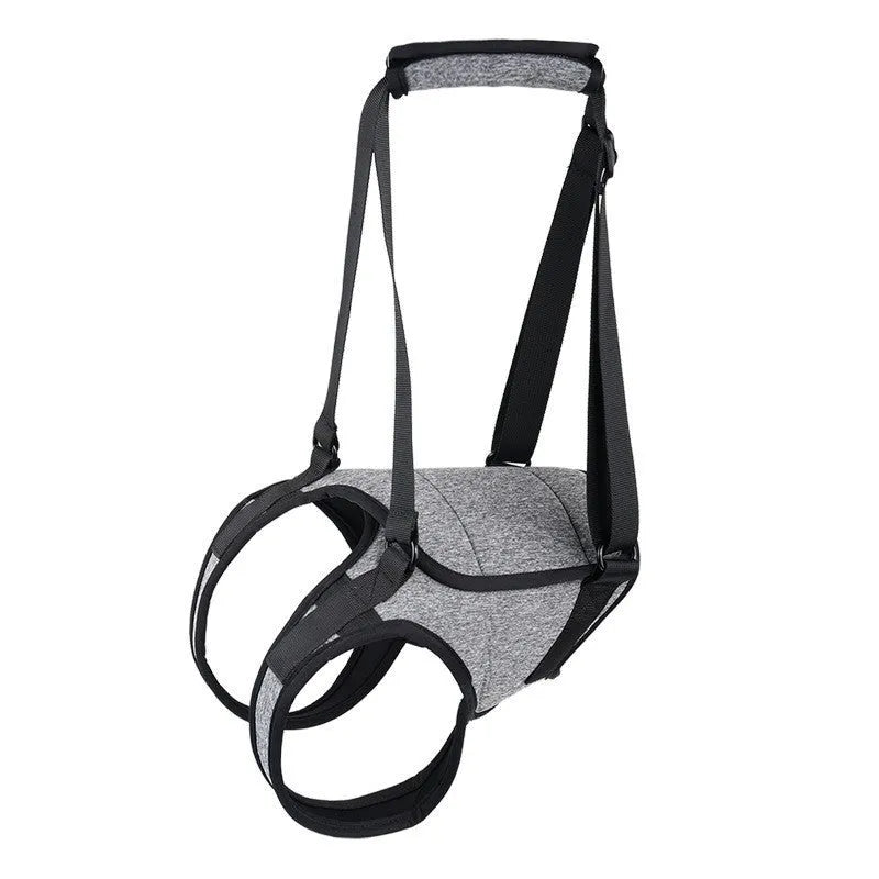 Grey neoprene dog rear leg recovery support belt shown with size chart.